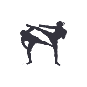 Nerio Crop Top (Preto) - sutiã esportivo para kickboxing, muay thai, boxe,  artes marciais mistas e outros esportes de combate – Athena Fightwear