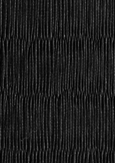 Tatami måtte - Dax Sports 'Deluxe' - 1x1m, 4 cm