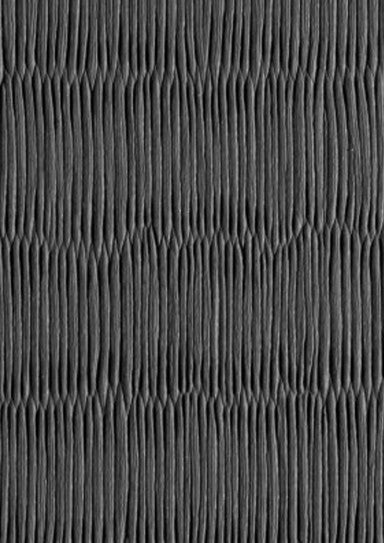 Tatami måtte - Dax Sports 'Deluxe' - 1x1m, 4 cm