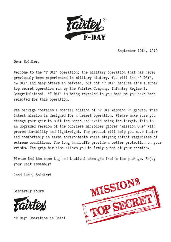 Boksehandsker - Fairtex - BGV25 - 'F-DAY 2' - Brun