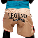 Bokseshorts - Fairtex - 'BT2010' - Vintage
