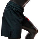 Muay Thai Shorts - Fairtex - 'AB13' - Wild