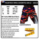 Muay Thai Shorts - Fairtex - 'AB13' - Wild